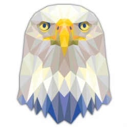 Mr.Sticker AN10 - 10080 - Triangle Eagle Sticker