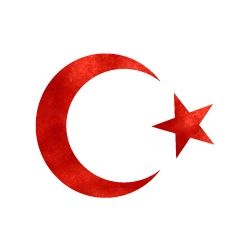 Mr.Sticker RFHLM77 9575 Kırmızı Türk Bayrağı Etiketi