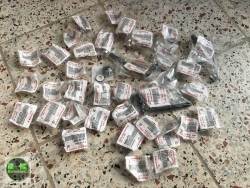 04-07 kawasaki zx10 ana yatak zx-10r ana yatak zx-10 r ana yatak  10 adet sıfır 