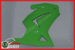 kawasaki ninja 250 sağ grenaj sıfır orıjınal yeşil renk 55028-0272-777