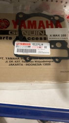 Yamaha Xmax 250 alt silindir conta