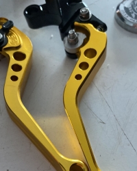 2006 07 r6 gold manet 