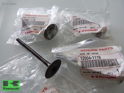 NİNJA 250 SL EMME SUBAP Z 250 SL EMME SUBAP NİNJA 250SL Z 250SL