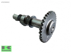 CRF 250 L EKSANTRİK MİLİ CRF 250 L EKSANTRİK MİLİ EMME ORIJINAL