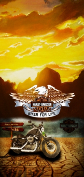 Loco Active Harley-2 Boyun Bağı
