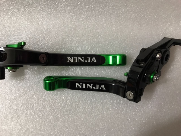 Kawasaki Ninja Özel Manet