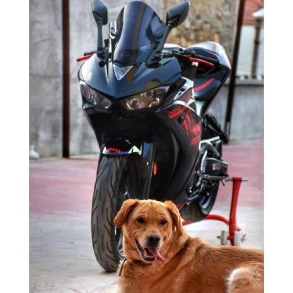 Yamaha Yzf R25 Biadil Yüksek Double Füme Ön Cam